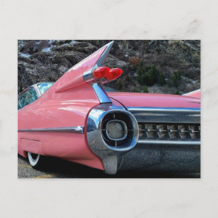 Caddy Fins Postcard