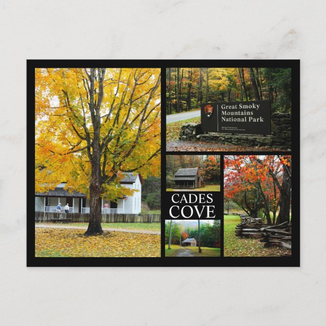 Cades Cove - Autumn Colours Photo Collage Postcard (Front)