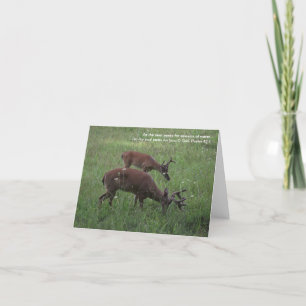 Cades Cove deer scripture note card