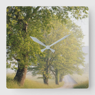 Cades Cove   Great Smokey Mountains, TN Square Wall Clock