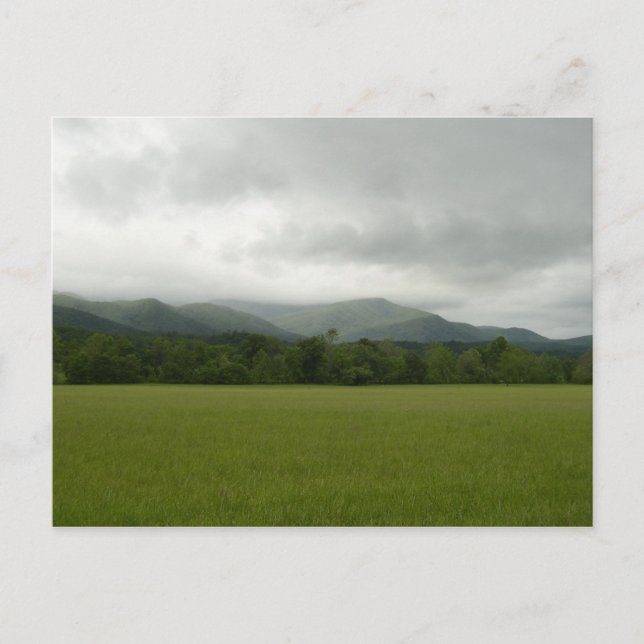 Cades Cove, Great Smoky Mountains NP, TN Postcard (Front)