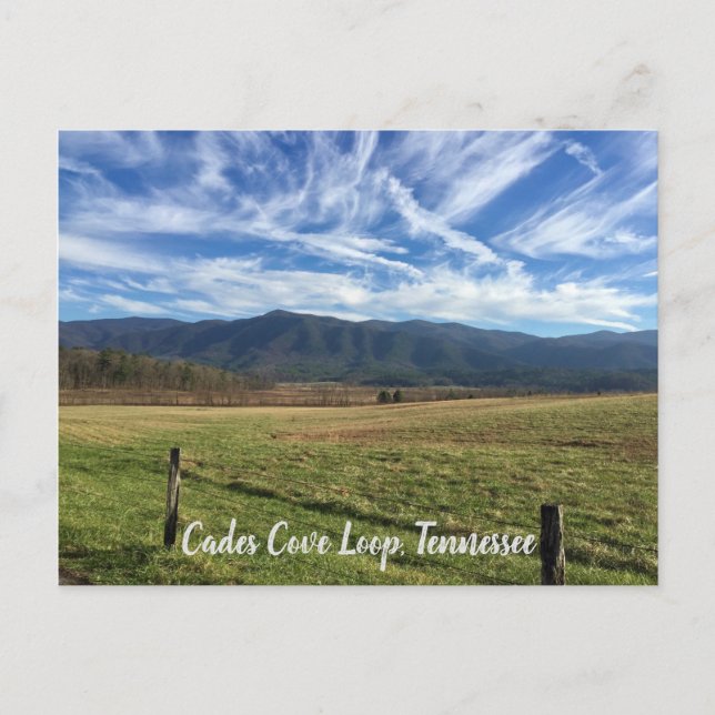 Cades Cove Loop, TN - Open Field View Postcard (Front)