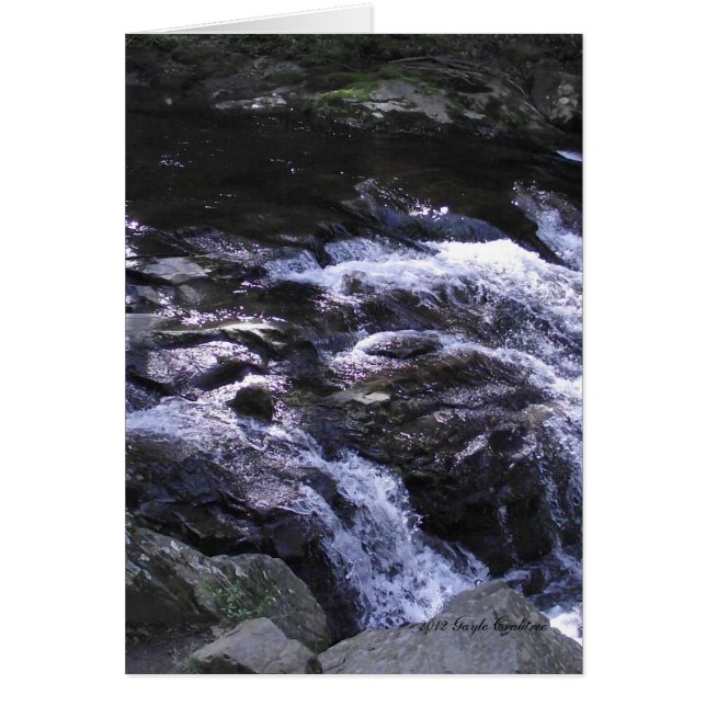 Cades Cove mountain stream (Front)