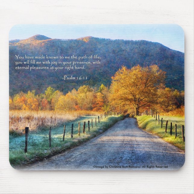 Cades Cove - Path of Life Mouse Mat (Front)