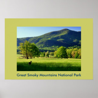 Cade's Cove Photo Greeting Card Poster
