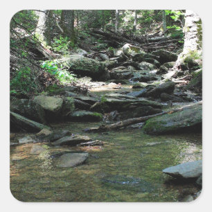 Cade's Cove Square Sticker