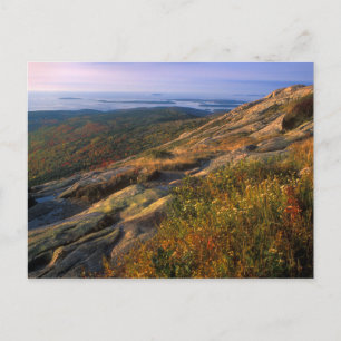 Cadillac Mountain Acadia National Park Postcard