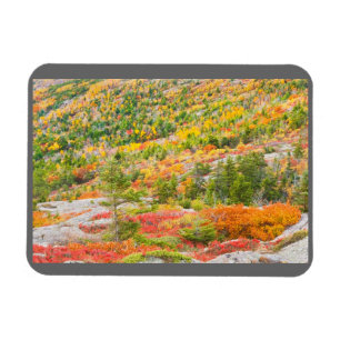 Cadillac Mountain in Fall, Acadia National Park Magnet