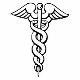 Caduceus Medical Symbol Standing Photo Sculpture