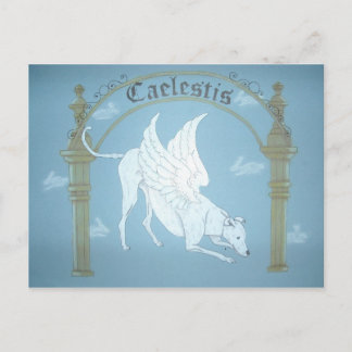 Caelestis "Hound of Heaven" post card