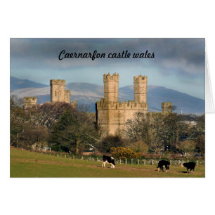 Caernarfon castle wales.