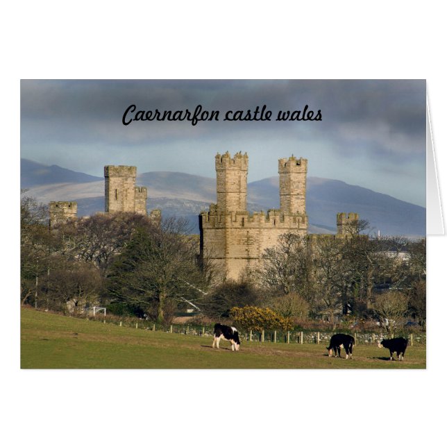 Caernarfon castle wales. (Front Horizontal)