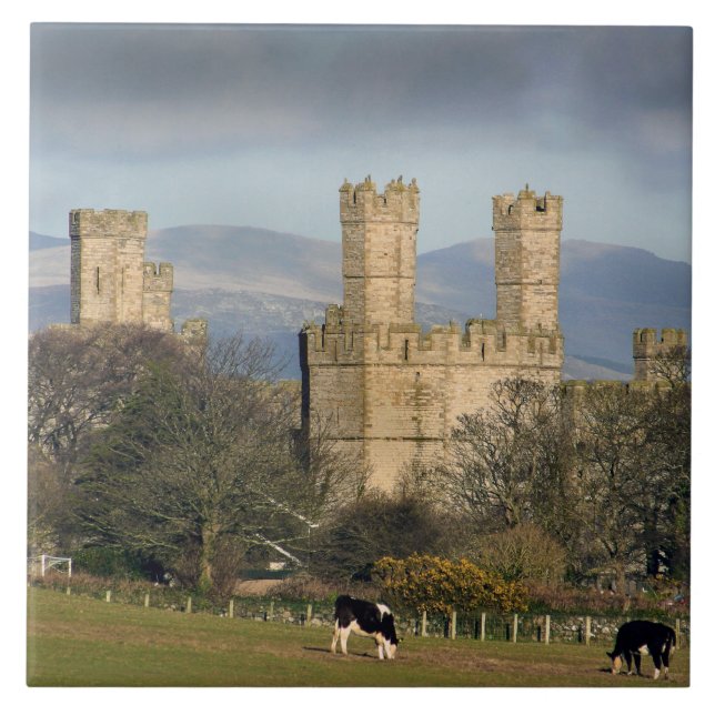 Caernarfon Castle Wales. Tile (Front)