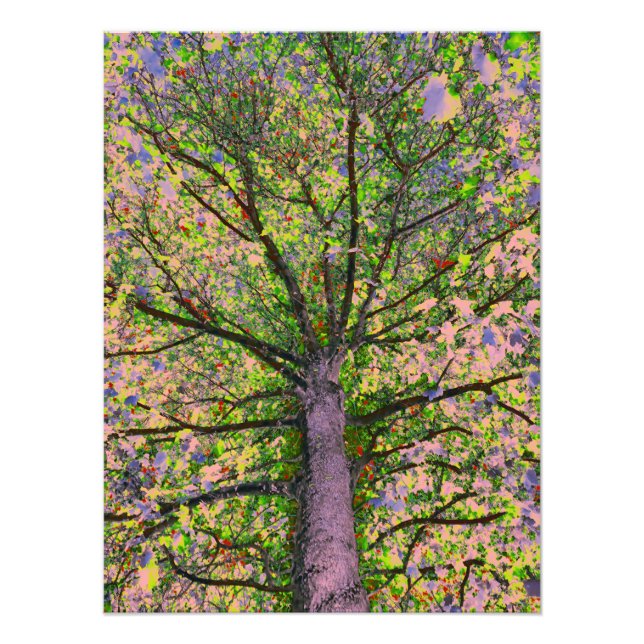 Caesar Salad 15 Photo Print (Front)