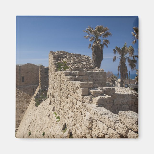 Caesarea ruins of port built by Herod the Great 3 Magnet (Front)