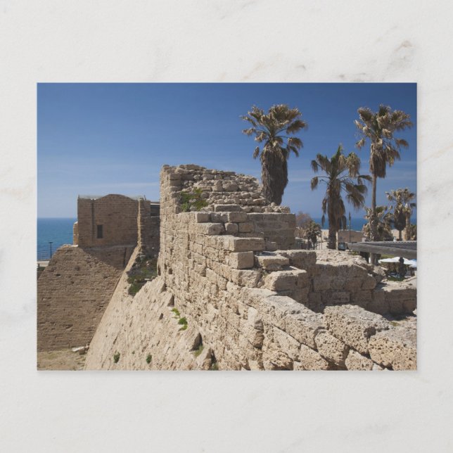 Caesarea ruins of port built by Herod the Great Postcard (Front)