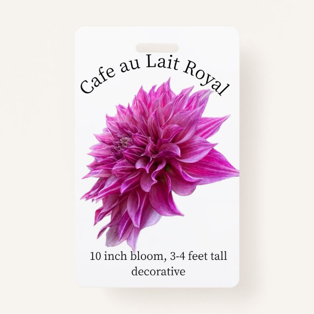 Cafe au Lait Royal Dahlia ID Badge (Front)