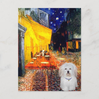 Cafe - Coton de Tulear 4b Postcard