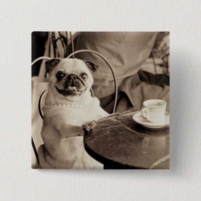 Cafe Pug 15 Cm Square Badge (Front)
