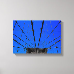 Cage in New York Canvas Print
