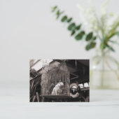 Caged Beasts, Mini Photo Business Card (Standing Front)
