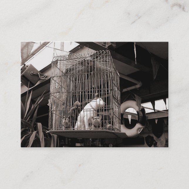 Caged Beasts, Mini Photo Business Card (Front)