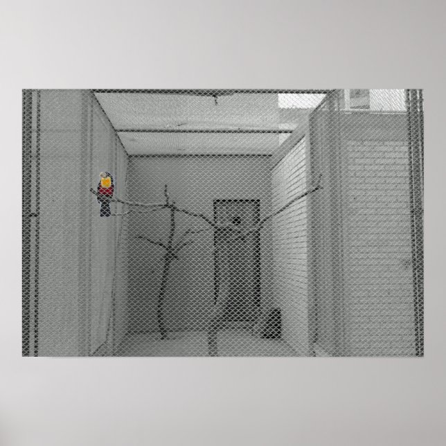 Caged bird poster (Front)