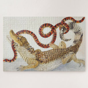 Caimans eating a orange and black snake jigsaw puzzle