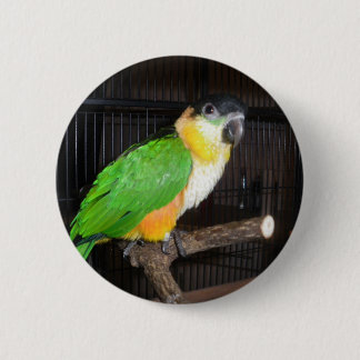 Caique Button