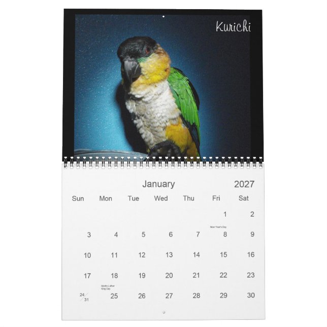 Caique Crazy 2012 Calendar (Jan 2027)