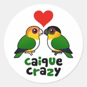 Caique Crazy Classic Round Sticker