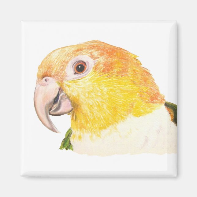 caique magnet (Front)
