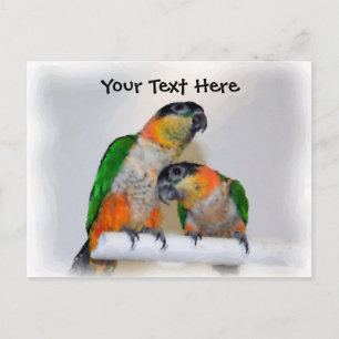 Caique Parrot Pair Customisable Postcard