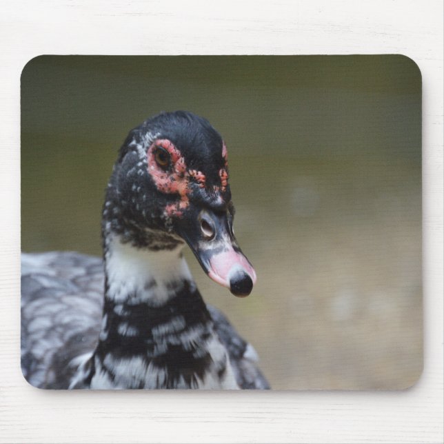 Cairina moschata domestica mouse mat (Front)