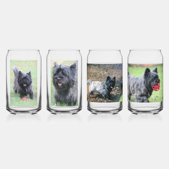 Cairn Can Glass (Front)