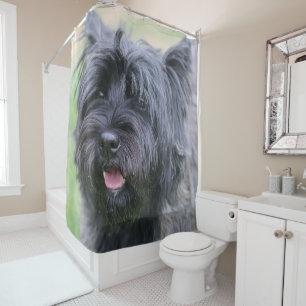 Cairn  shower curtain