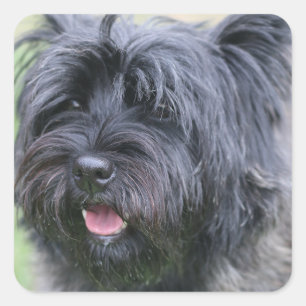 Cairn Square Sticker