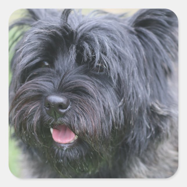 Cairn Square Sticker (Front)