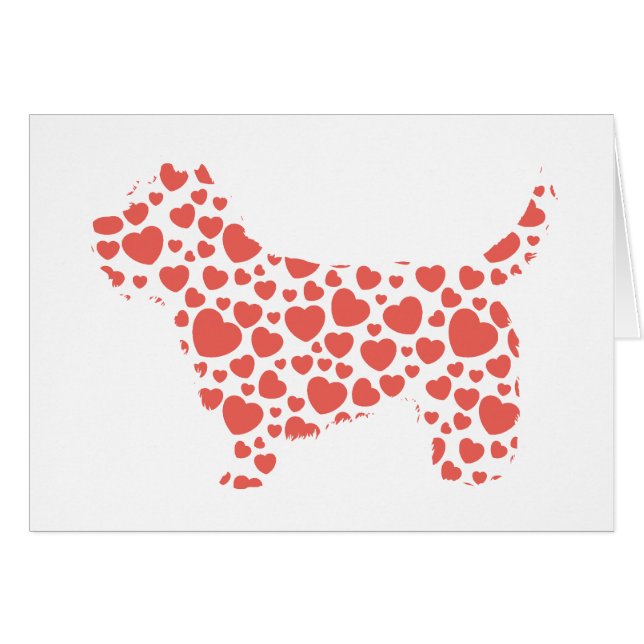 Cairn Terrier (Front Horizontal)