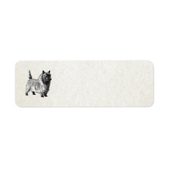 cairn terrier (Front)