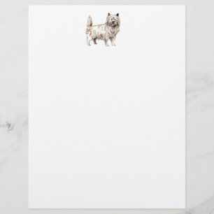 Cairn Terrier