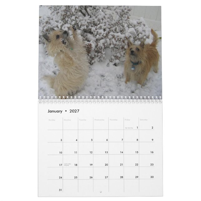 Cairn Terrier 2010 Calendar (Jan 2027)