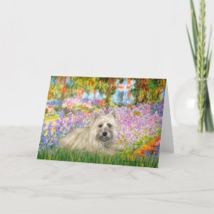 Cairn Terrier 4 - Garden Holiday Card