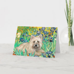 Cairn Terrier 4 — Irises Card