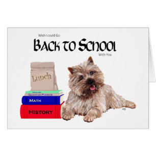 Cairn Terrier Back to School