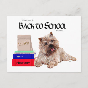 Cairn Terrier Back to School Postcard