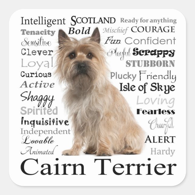 Cairn Terrier Breed Traits Stickers (Front)
