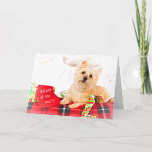 Cairn Terrier Christmas Card