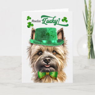 Cairn Terrier Dog Feelin' Lucky St Patrick's Day Holiday Card