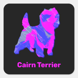 Cairn Terrier Dog Hot Pink & Blue Square Sticker